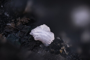 White Afmite. Specimen from Fumade, Castelnau de bressac, France. Micro photography extreme close-up. microscope mineral crystal photography for Scientific use.
