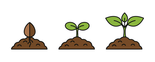 3 Sprouts, Green Young Plant Growth Process, Isolated On White Background
