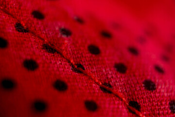 macro photography of a ladybug texture