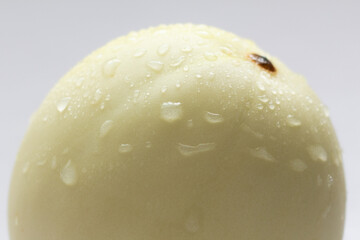 close up of melon 