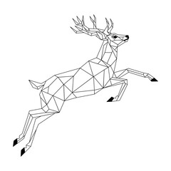 deer on a white background