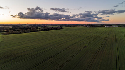 Endless green fields stretch beneath a glowing sunset sky, with soft light and drifting clouds enhancing the calm and spacious feeling of the rural landscape