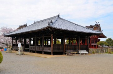 Fototapeta premium 浄土寺 八幡神社
