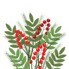 Christmas bouquet of Christmas tree branches and berries. It is suitable for making Christmas greeting cards and New Year's invitations