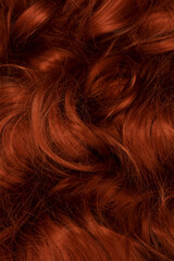 Naklejka premium Red hair as a background.