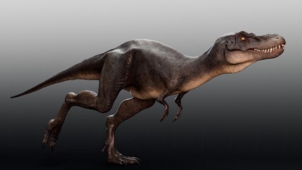 Fototapeta premium Juvenile Tyrannosaurus Rex of background. 3d model rendering