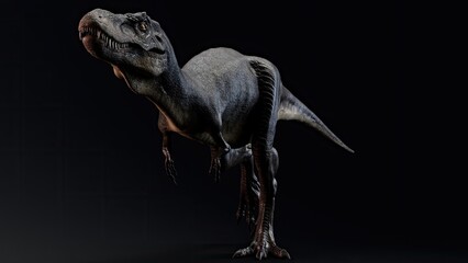 Juvenile Tyrannosaurus Rex of background. 3d model rendering