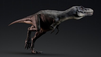 Fototapeta premium Juvenile Tyrannosaurus Rex of background. 3d model rendering