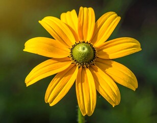 Detailed close-up of a vibrant yellow and green blossom