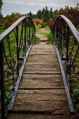 Obraz premium Wooden bridge over the river in the autumn forest. Toned.