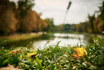 Autumn landscape with a lake and trees in the park on a cloudy day