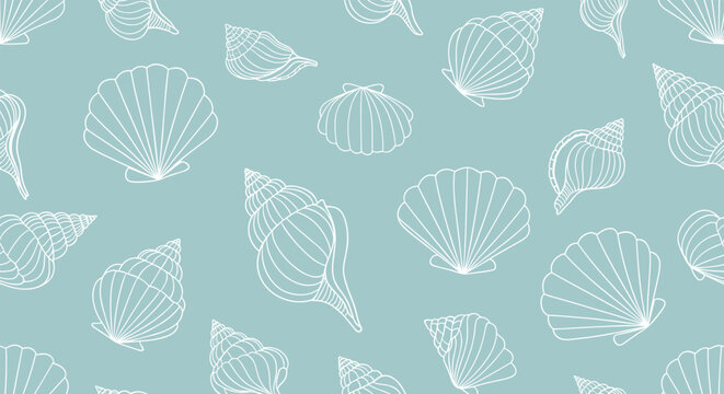 A collection of white seashells scattered across a light blue background.