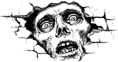 Skull art in vintage engraving style. Frightening black and white vector illustration featuring an intense expression and broken wall elements.