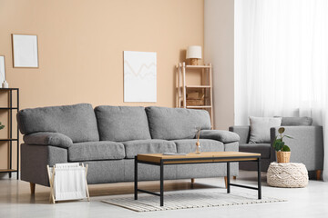 Interior of modern living room with sofa and table near beige wall