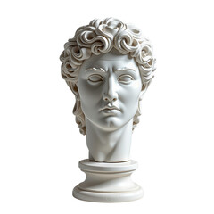 Obraz premium Marble Sculpture of Classical Bust with Intricate Curly Hair Design