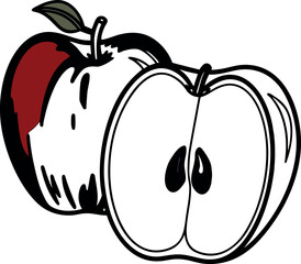 Hand-Drawn Apple Illustration: Whole and Halved Fruit with Seeds and Color Accent
