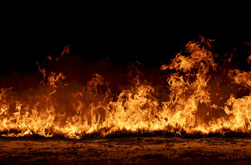 A vivid display of orange flames dancing against a dark background.