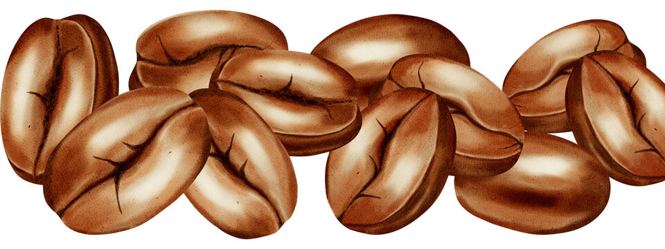 Hand-drawn watercolor illustration, seamless border with roasted coffee beans