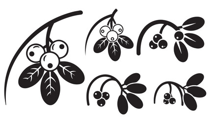 Mistletoe sprig silhouette with arched stem, three berries, and oval leaf trio, classic black christmas icon for wreaths, cards, and seasonal labels