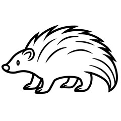 Stylized white hedgehog silhouette walking with spikes and cute face isolated on white background silhouette