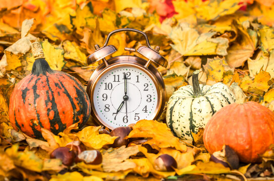 Clocks in the UK go back one hour in Autumn.  Selective focus of an Alarm clock with two bells surrounded by Autumn leaves, Gourds or small pumpkins and chestnuts. Horizontal  Copy space