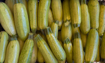 Close-up view of fresh green zucchinis neatly arranged, highlighting texture and natural color.