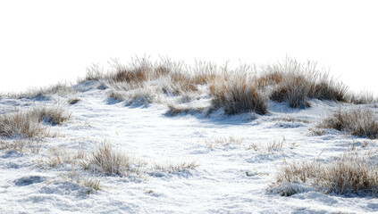 Frosty winter landscape with snow-covered ground and patches of dried grass on a small hill