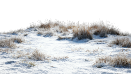 Frosty winter landscape with snow-covered ground and patches of dried grass on a small hill