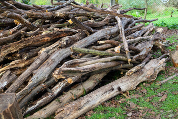 A large pile of old, dried branches and logs lying on green grass with fallen leaves creates a textural image of stacked firewood. The wood shows signs of weathering and natural aging,