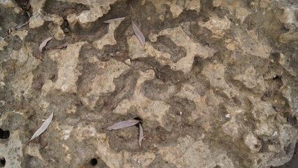 Eroded Brown Rock Surface with Holes