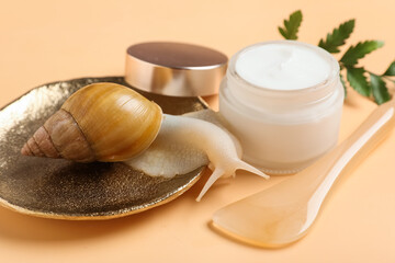 Plate with giant Achatina snail, jar with cosmetic product and facial massage tool on beige background, closeup