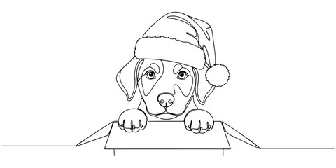 Continuous one line of puppy wearing Santa hat peeking out from inside box, style hand drawing vector illustration.