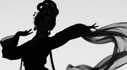 Chinese opera character silhouettes, female role silhouettes, beautiful classical charm