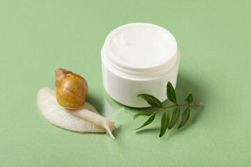 Giant Achatina snail and jar of cosmetic product on green background, closeup