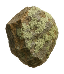 Lichen-covered stone featuring a rough, multi-hued texture.