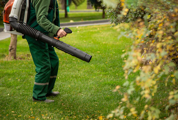 Autumn Leaf Cleaning in the Park
