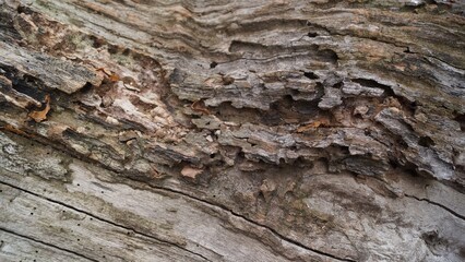 Layered White and Brown Rock Texture