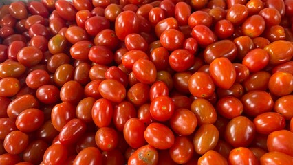 close up of red tomatoes