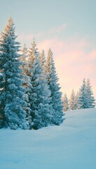 Obraz premium Serene winter landscape snow covered fir trees and soft morning light for holiday greetings