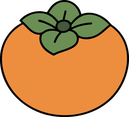 Persimmon Illustration