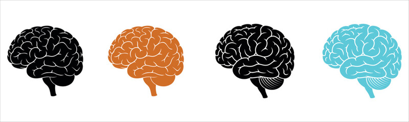 Brain illustration vector graphic design — symbolizing human intelligence, neuroscience, and medical science. Ideal for healthcare, psychology, and educational concepts, emphasizing creativity.