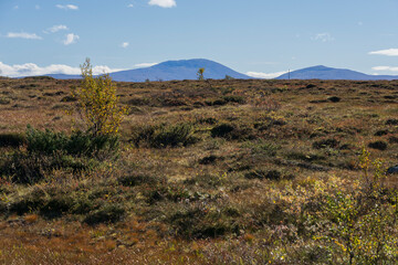 Autumn at Rensjøen, Holtålen, Trøndelag, Norway
