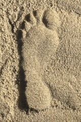 A foot print in the sands of Cape Cod, Massachusetts