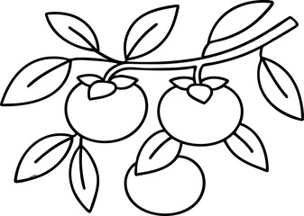 Persimmon Tree Branch Illustration