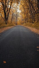 Fototapeta premium Serene autumn forest scene vibrant fall colors along an empty asphalt road in soft light