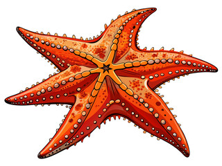 Realistic vector of starfish with five arms, orange-red tone, rough texture, isolated on white background, marine nature art
