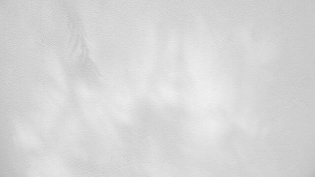 Shadow gobo light leaves overlay background, Abstract grey design pattern wall white concrete texture sunlight well space decoration for text presentation - Powered by Adobe
