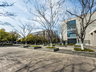 Serene Winter Landscape with Trees and Modern Architecture in an Urban Setting