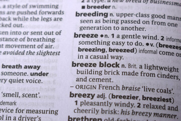 Fototapeta premium Close Up Of English Dictionary Page With Word - Breeze