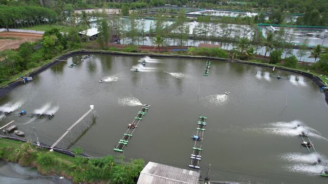 Aerial drone footage of shrimp farming ponds with paddle wheel aerators operating in rural Thailand, aquaculture industry, sustainable seafood production concept.